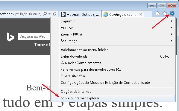 Opções do Internet Explorer