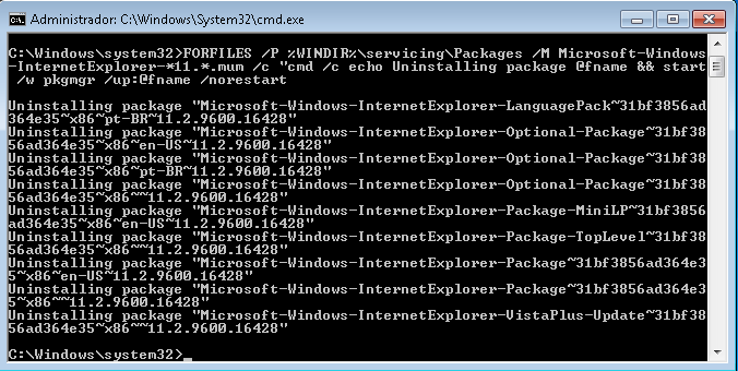Consertar o Erro 9C48 do Windows Update 4 Resultado da desinstalação manual do Internet Explorer 11