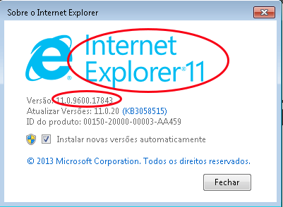 Consertar o Erro 9C48 do Windows Update 2 Versão do Internet Explorer