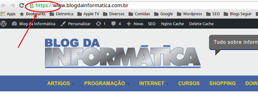 Páginas falsas enganam consumidor. Saiba identificá-las 2 https nos sites