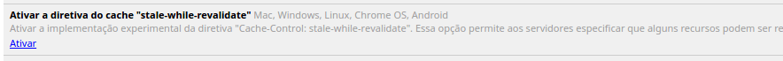 Chrome Flags - Diretiva de cache