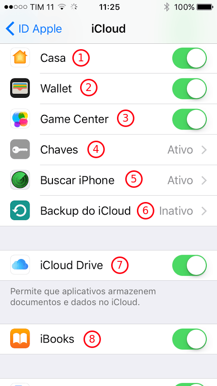 Opções do iCloud - 2