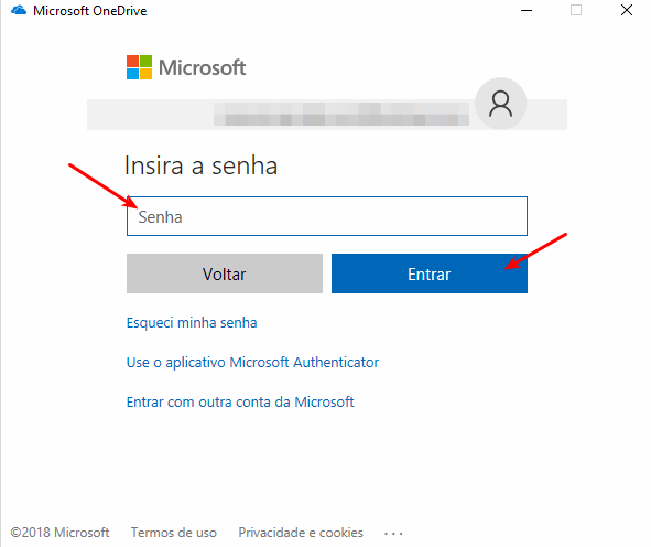 Printscreen no Windows 10: 5 maneiras mais simples 11 OneDrive - Colocar senha