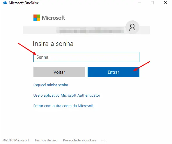 Printscreen no Windows 10: 5 maneiras mais simples 11 OneDrive - Colocar senha