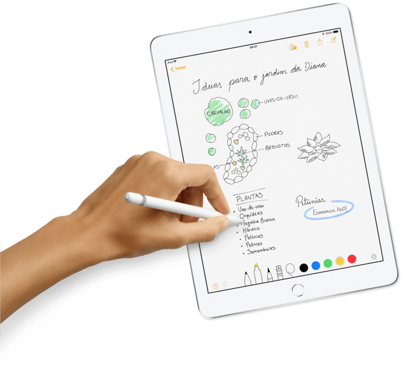 Novo iPad - Caneta