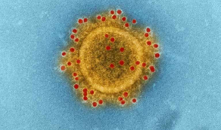 Limpar celular - Corona Virus-
