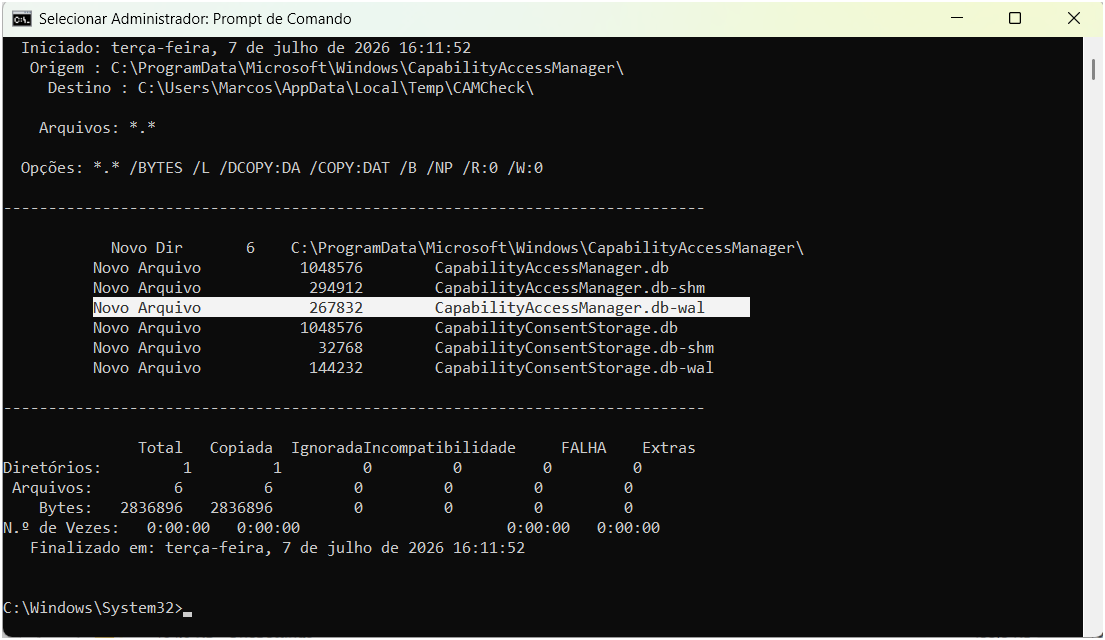 Bug do Windows 11 Robocopy Capability