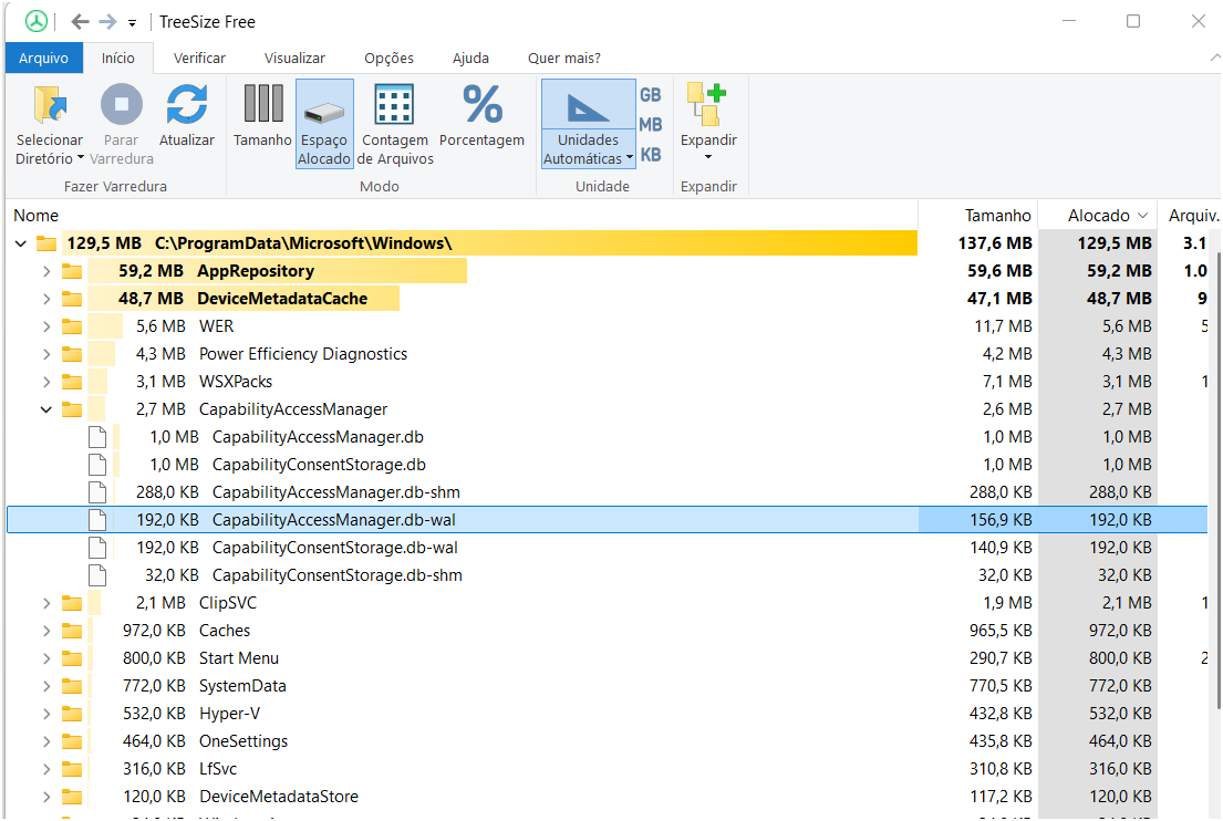 Bug do Windows 11 TreeSize Free - Mostrando arquivo que pode estar afetado